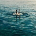 plongeon
